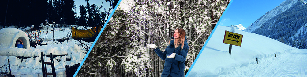 cap-juniors-construction-igloo