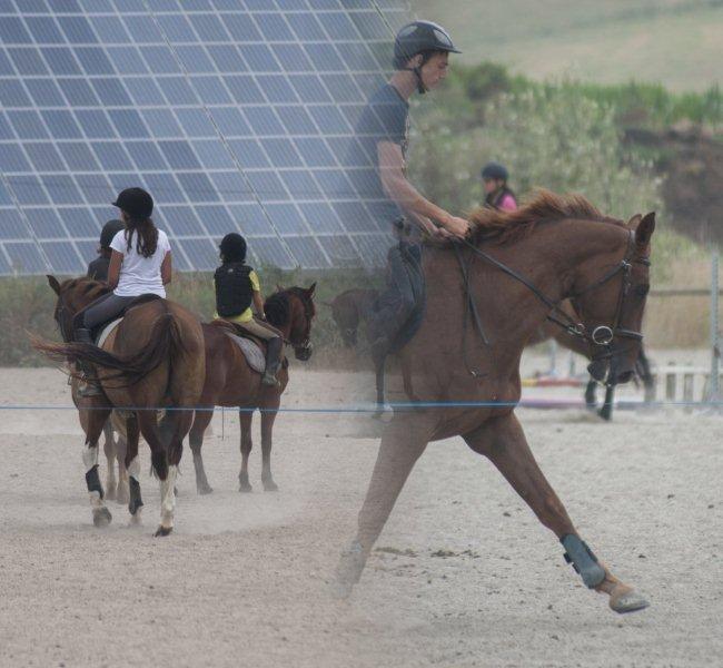 SEJOURS EQUITATION HIVER