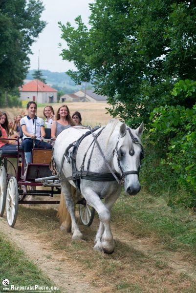 SEJOURS EQUITATION et ANIMATIONS OU INTENSIVE