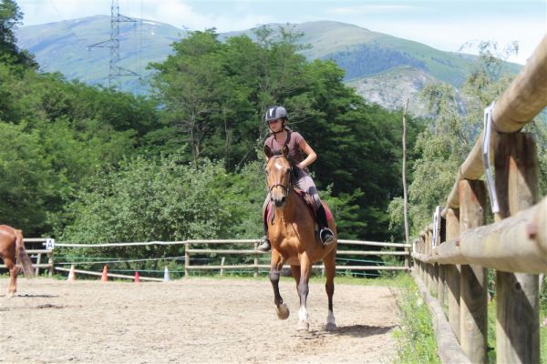 Ma passion en colo - Passion Equitation