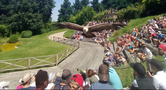 Ma colo aux Zoos (été et automne)