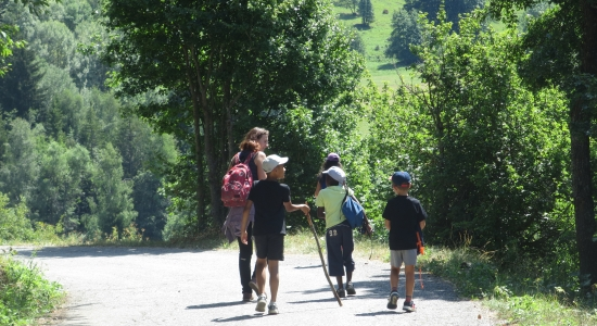 Marmottes et Compagnie