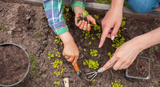 Les apprentis fermiers