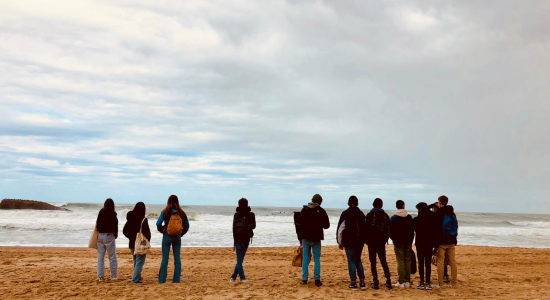 SURF Academy
