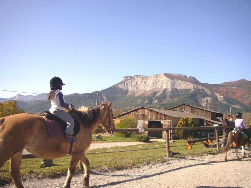 Passion Equitation / Passion Poney