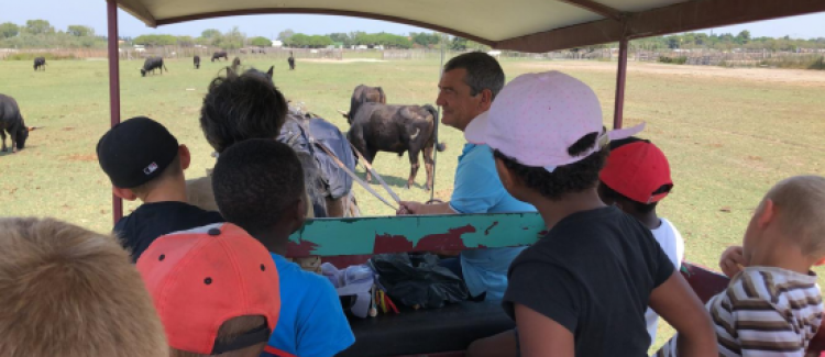 Mer, plage...et toboggans