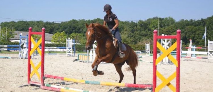 Saut d'obstacles
