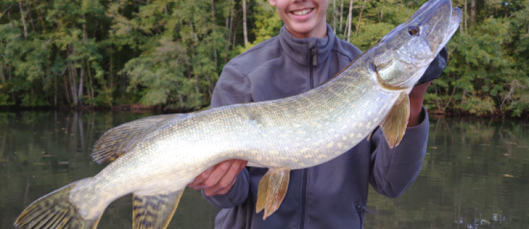 Pêche du brochet aux poissons nageurs