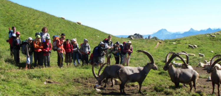 Au cœur de la nature