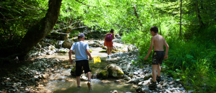 Robinson du Vercors ETERPA