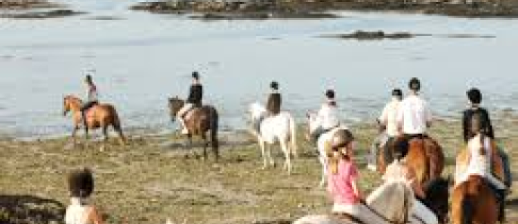 Balade à cheval croisic