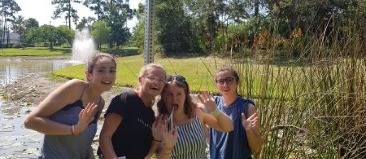Excursion au Parc des Everglades