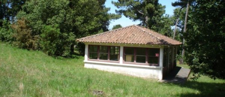salle des ados