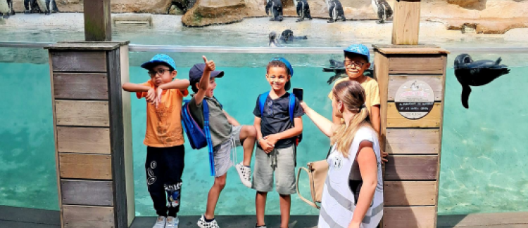 Au zoo de La Flèche