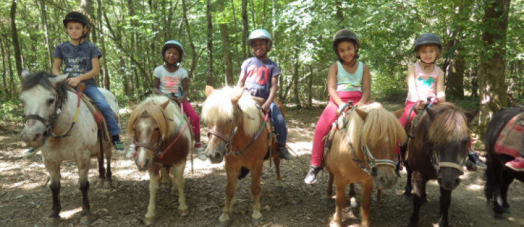 poney