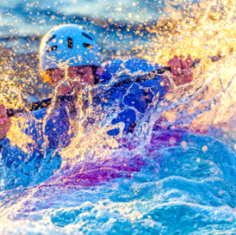 image related products