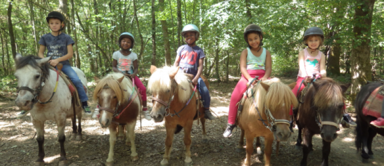 poney
