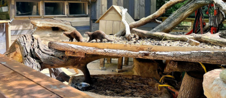 Visite de Spaycific Zoo