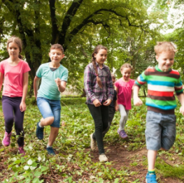 image related products