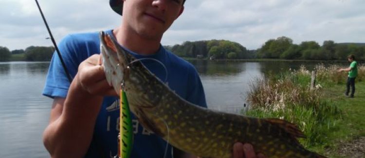 Pêche du brochet aux poisson nageur