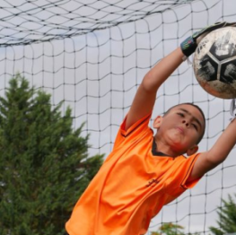 image related products