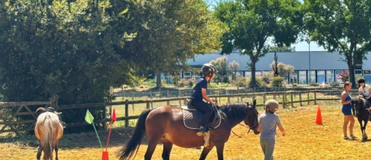 Séance équitation à La Flèche