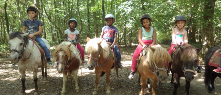 poney
