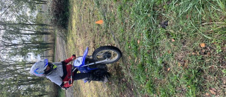 Quad