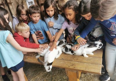 Les petits fermiers -P26