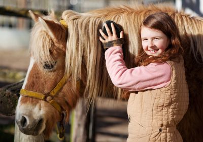 PASSION EQUITATION EN BOURGOGNE (printemps)
