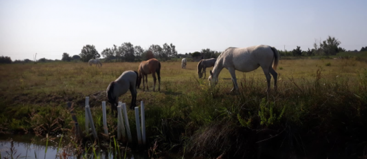 Mer, plage...et toboggans