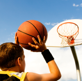 image related products