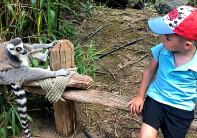 Ma colo aux Zoos (Vaunaval)