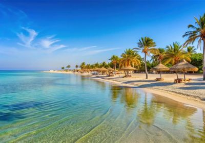 Djerba: l ile aux contrastes