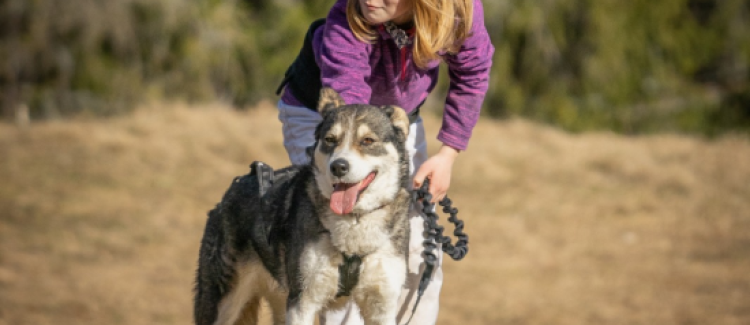 Cani-Aventure ETERPA