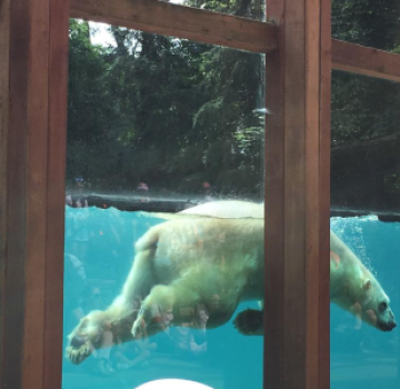 Image du sejour