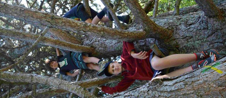 Cani-Aventure - ETERPA