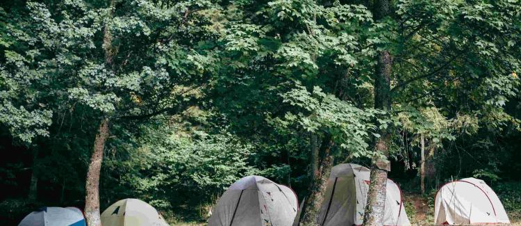 Robinson du Vercors ETERPA