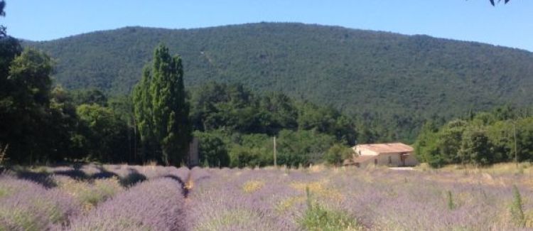 espace extérieur centre de vacances