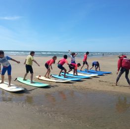 image related products