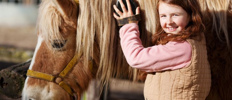 PASSION EQUITATION EN BOURGOGNE (printemps)