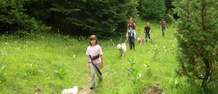 Cani-Aventure ETERPA