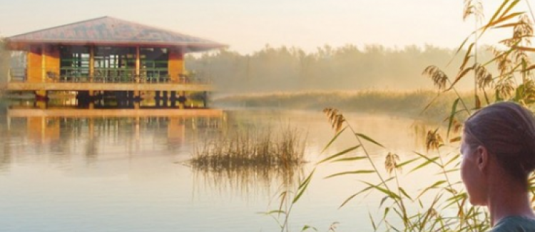 Ambiance studieuse et zen