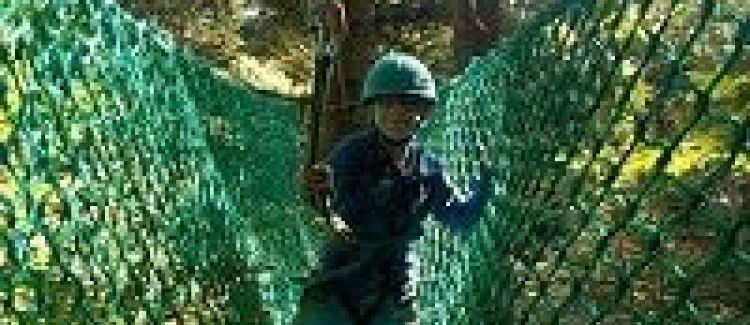 parcours dans les arbes