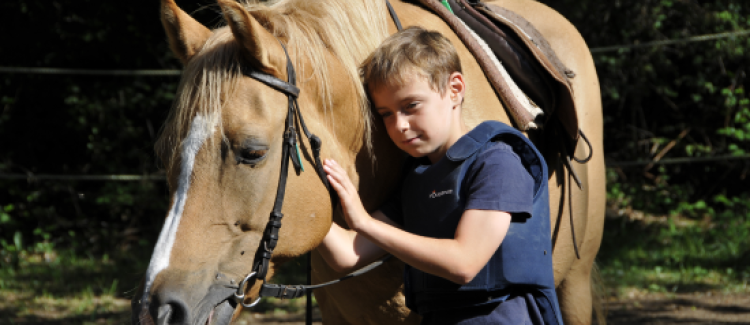 Découverte équitation