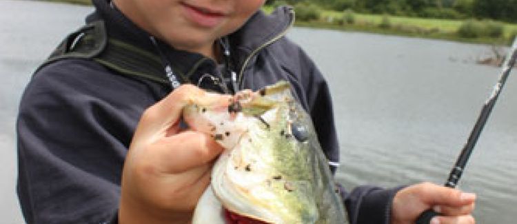 Pêche du black aux leurres souples
