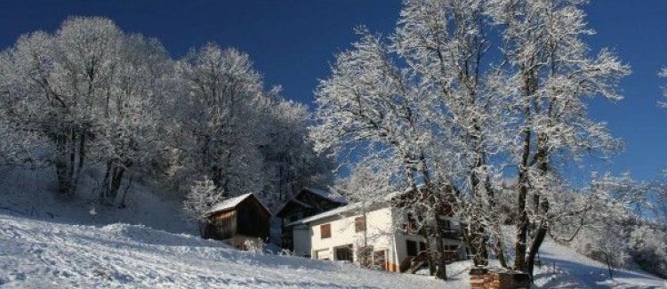 colo neige 2020