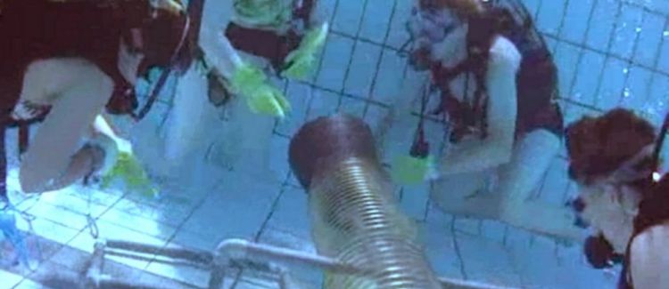 Destination Ciel et Terre apesenteur