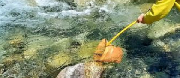 Pêche
