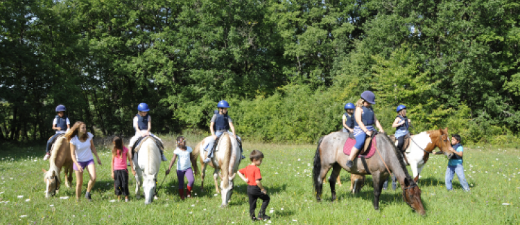 Découverte équitation